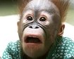thumb-image-2024-02-29T14:02:22.655Z