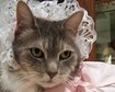thumb-image-2024-02-29T14:02:23.189Z
