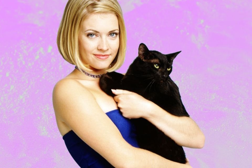 Imagem de 13 vezes que a vida foi resumida corretamente pelo Salem, o gato da Sabrina no megacurioso