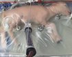 thumb-image-2024-02-29T14:02:23.677Z
