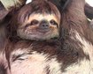 thumb-image-2024-02-29T13:58:32.678Z