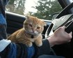 thumb-image-2024-02-29T14:02:25.396Z