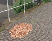 thumb-image-2024-02-29T14:02:26.270Z