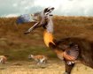thumb-image-2024-02-29T13:58:47.081Z