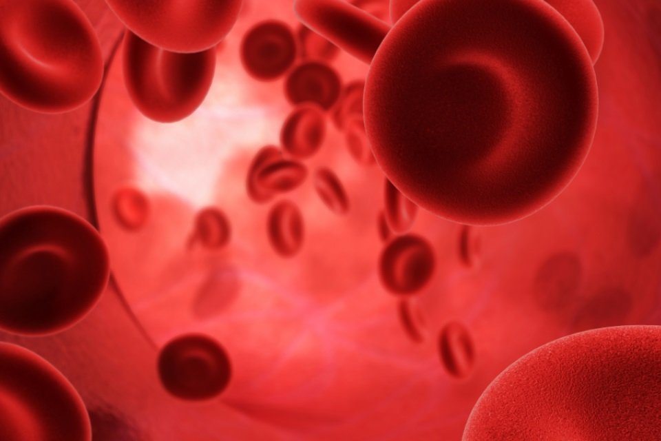 Quantos Litros De Sangue Um Ser Humano Tem No Corpo Voce Sabe Quanto Sangue Existe No Corpo Humano Mega Curioso