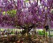 thumb-image-2024-02-29T14:02:27.430Z