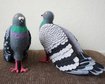 thumb-image-2024-02-29T14:02:27.446Z