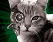 thumb-image-2024-02-29T14:02:28.007Z