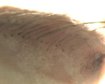 thumb-image-2024-02-29T14:02:28.943Z