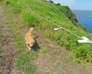 thumb-image-2024-02-29T14:02:29.096Z