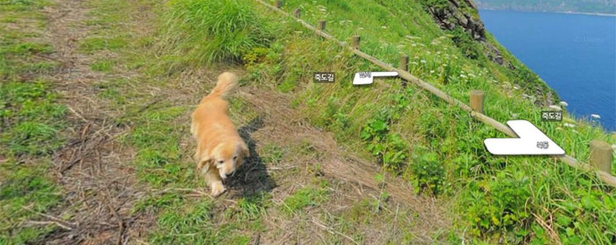 thumb-image-2024-02-29T14:02:29.096Z