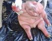 thumb-image-2024-02-29T14:02:29.966Z