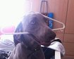 thumb-image-2024-02-29T14:02:30.286Z
