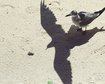 thumb-image-2024-02-29T14:02:30.812Z