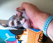 thumb-image-2024-02-29T14:02:30.940Z