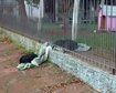thumb-image-2024-02-29T14:02:32.152Z