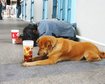thumb-image-2024-02-29T14:02:32.182Z