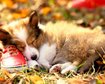 thumb-image-2024-02-29T14:02:32.378Z