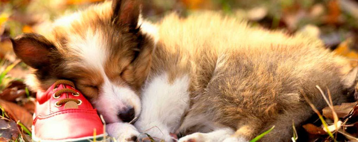 thumb-image-2024-02-29T14:02:32.378Z
