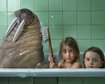thumb-image-2024-02-29T14:02:32.535Z