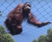 thumb-image-2024-02-29T14:02:32.713Z