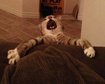 thumb-image-2024-02-29T14:02:32.802Z