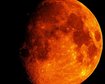 thumb-image-2024-02-29T14:02:33.351Z