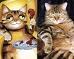thumb-image-2024-02-29T14:02:33.527Z