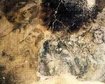 thumb-image-2024-02-29T14:02:33.816Z
