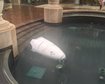 thumb-image-2024-02-29T14:02:33.890Z