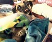 thumb-image-2024-02-29T14:02:34.508Z