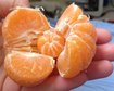 thumb-image-2024-02-29T14:02:34.691Z