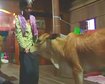 thumb-image-2024-02-29T14:02:34.709Z