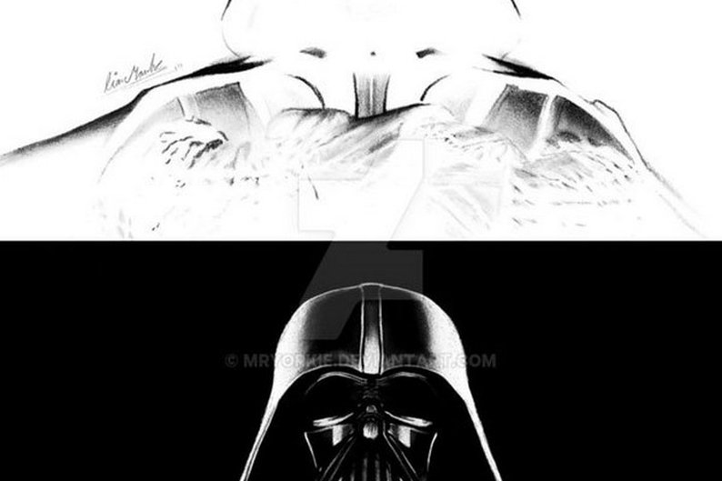 (Liam York)