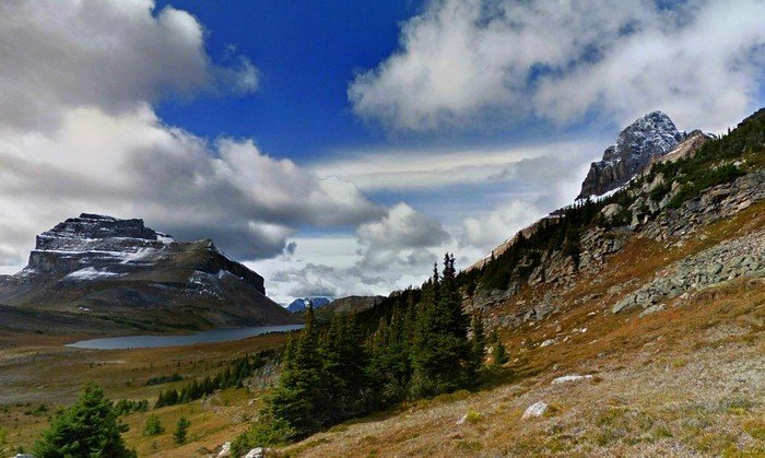 IA da Google está aprendendo a fotografar — e o resultado é impressionante