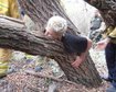 thumb-image-2024-02-29T14:02:35.545Z