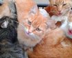 thumb-image-2024-02-29T14:02:36.395Z