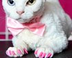thumb-image-2024-02-29T14:02:36.672Z