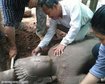 thumb-image-2024-02-29T14:02:37.076Z