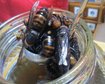 thumb-image-2024-02-29T14:02:37.505Z