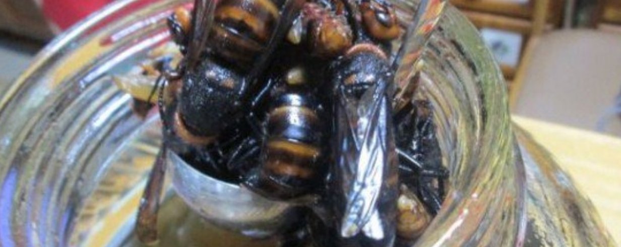 thumb-image-2024-02-29T14:02:37.505Z