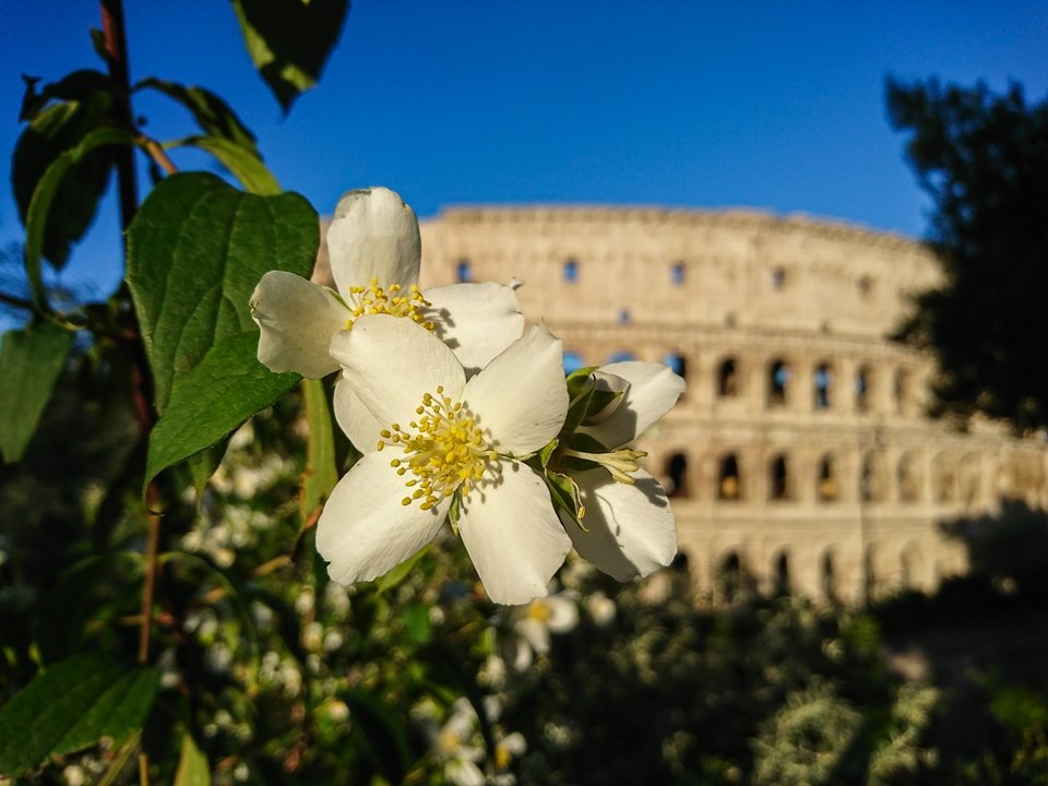 Mais da metade das fotos em pontos turísticos no Instagram são iguais