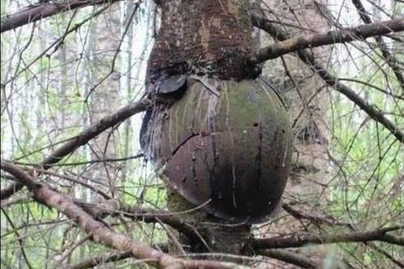 (imgur/dasBild)