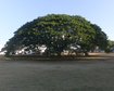 thumb-image-2024-02-29T14:02:38.567Z