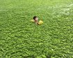 thumb-image-2024-02-29T14:02:38.907Z