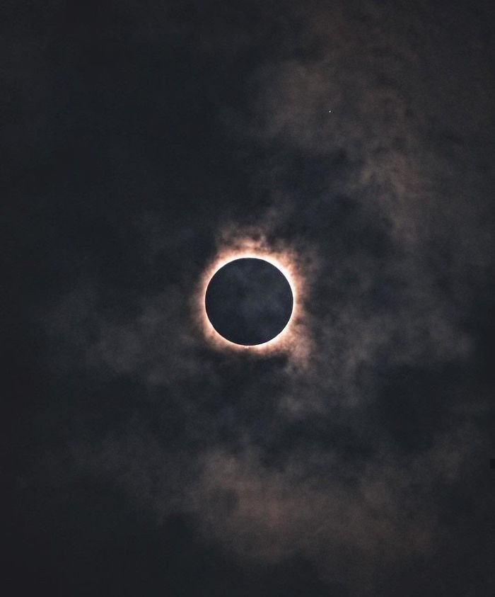 bryanminear
