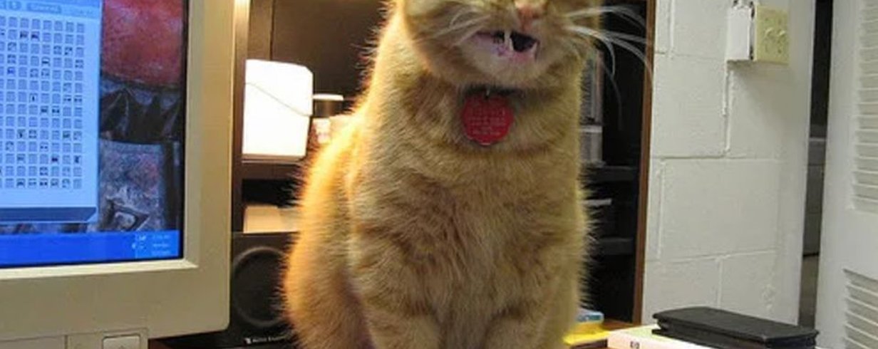 thumb-image-2024-02-29T14:02:40.756Z