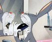thumb-image-2024-02-29T14:02:41.020Z