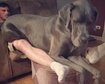 thumb-image-2024-02-29T14:02:41.205Z
