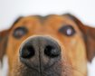 thumb-image-2024-02-29T14:02:41.304Z